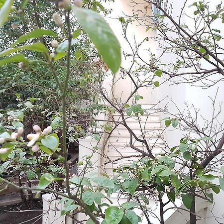 Errathens Aegean Apartment - Athens Center, 5 BD, 2 BATH Exterior foto