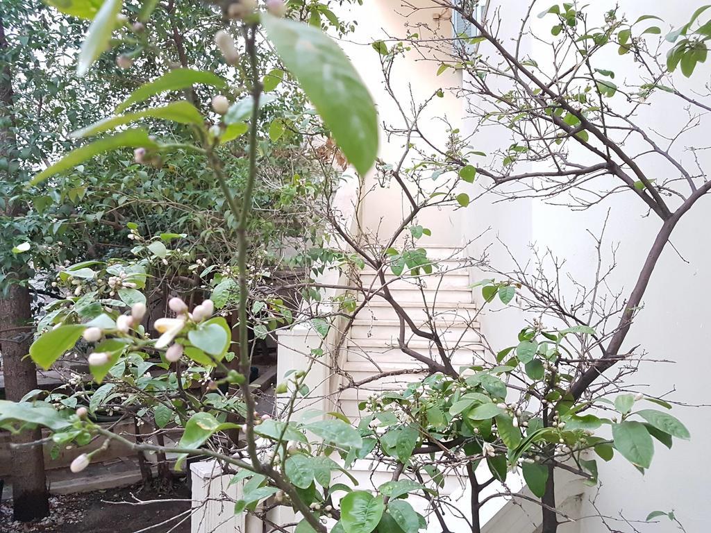 Errathens Aegean Apartment - Athens Center, 5 BD, 2 BATH Exterior foto
